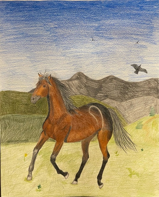 业余E组：4-12岁